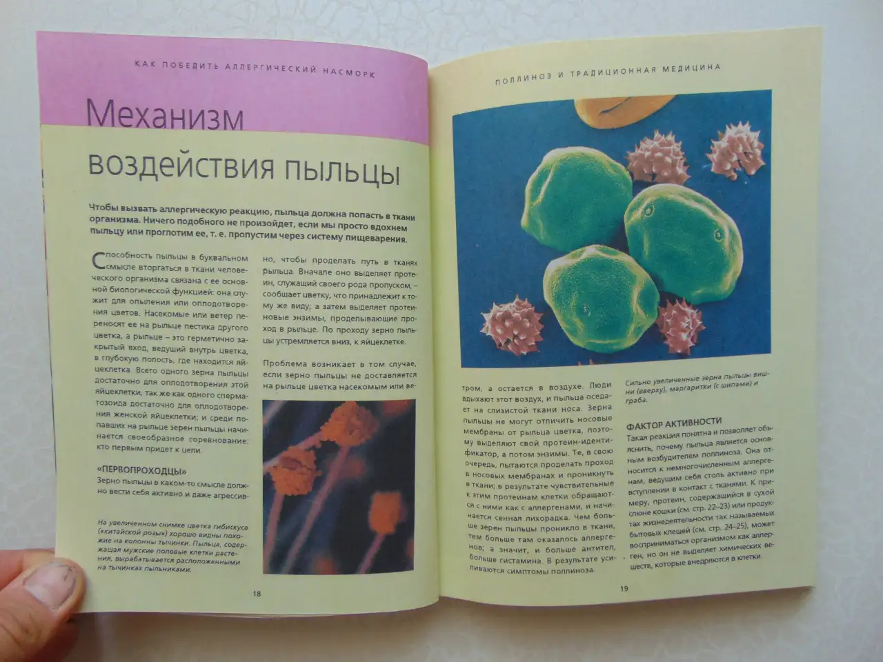 Как победить аллергический насморк.Лечимся без лекарств,Махаон, 1999 год, 128 стр., фотография 6