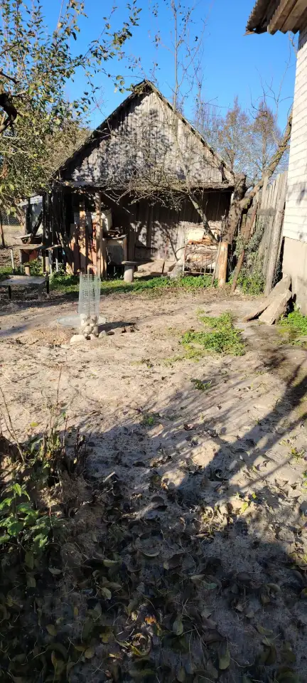 Продажа жилого дома в живописном месте с видом на лес, фотография 10