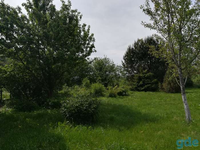 Продаю участок с домом, фотография 2