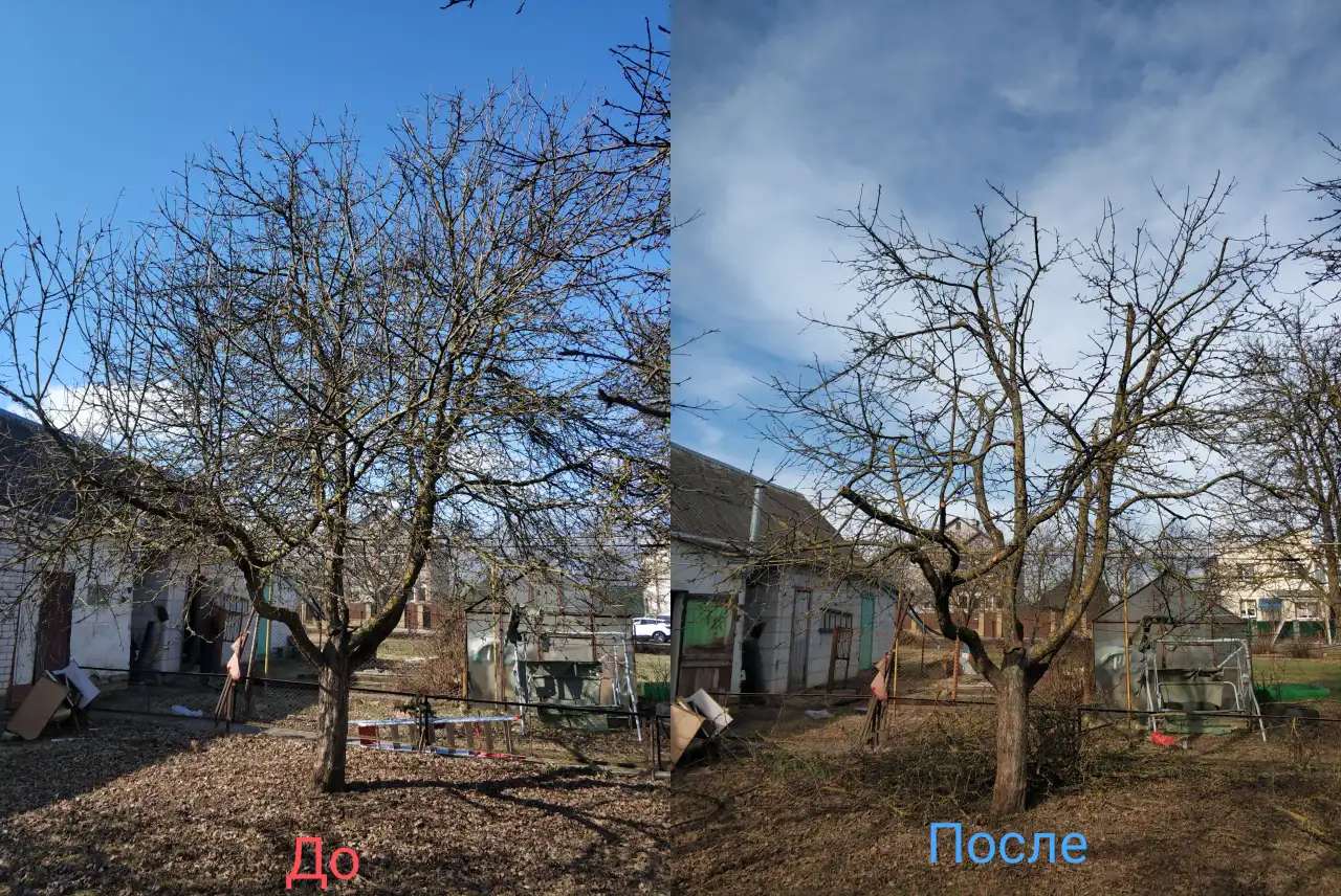 Садовник, уход за садом, фотография 1