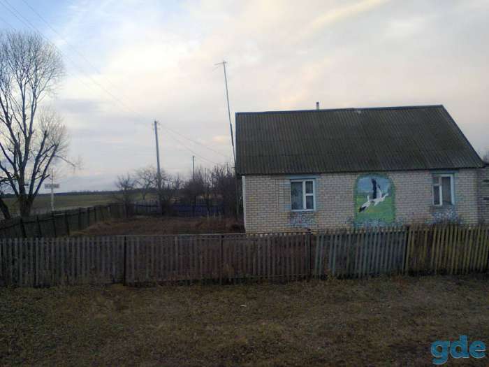 Продам кирпичный дом, область, Дрибинский район, деревня Покутье, фотография 5