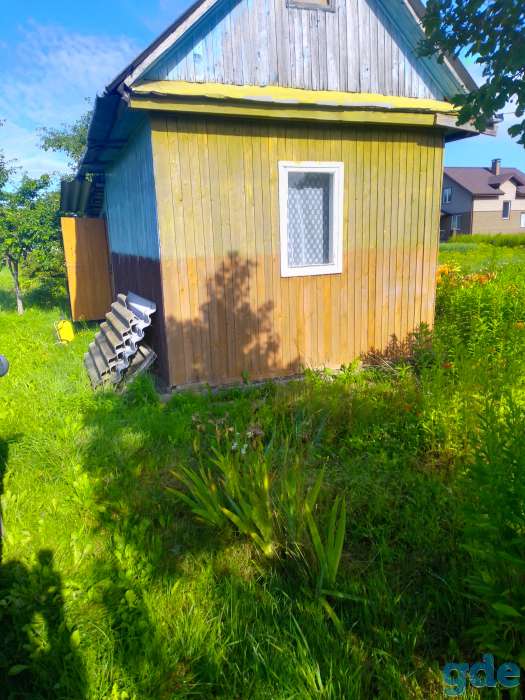 Продажа дача 8соток ст росинка 1 от жодино9км, фотография 4