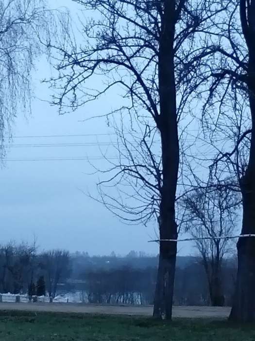 дом в живописном месте, витебская обл. бешенковичский р-н, поселок холм., фотография 2