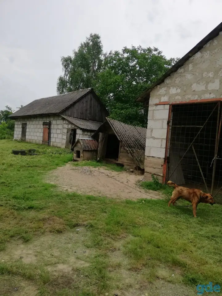 Продажа дачного участка с домом,, фотография 4