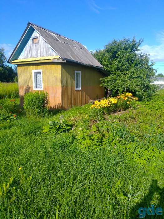 Продажа дача 8соток ст росинка 1 от жодино9км, фотография 3