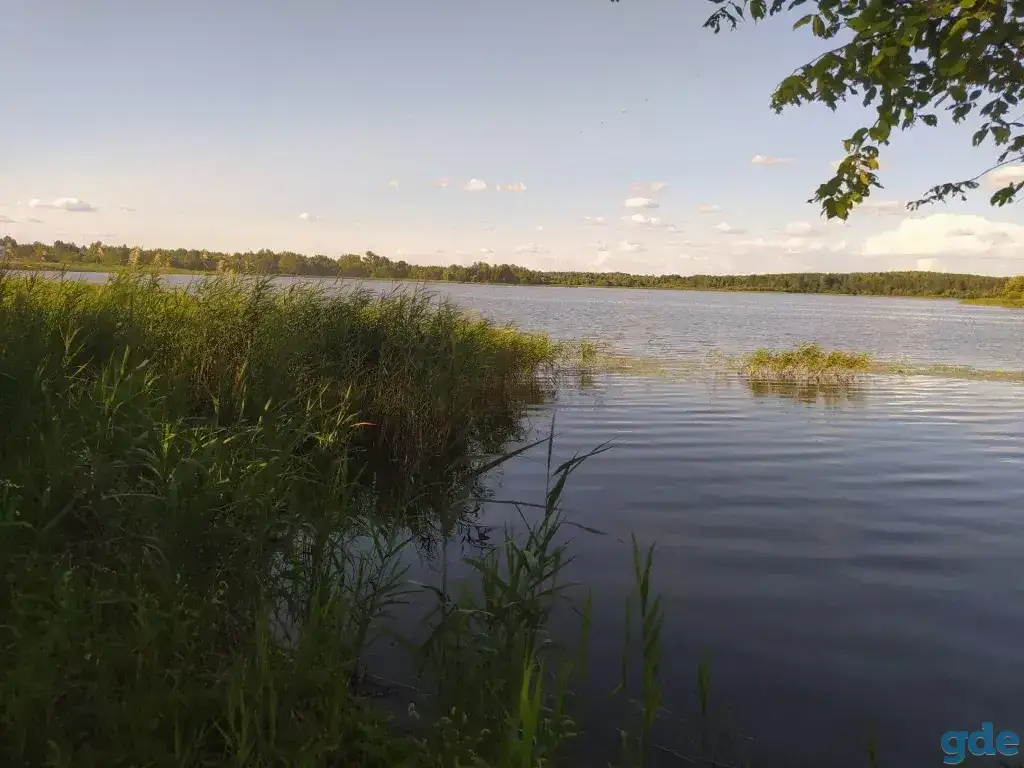прекрасный участок на берегу озера Городно, Озёрная ул, 13, деревня Городнянский Мох, Новкинский сельсовет, район,, фотография 8