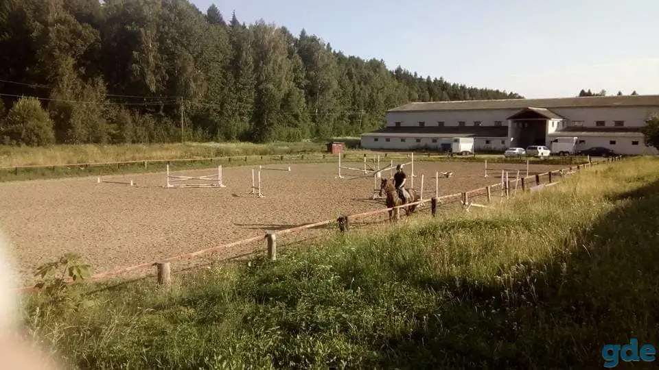 Обучение верховой езде, фотография 5