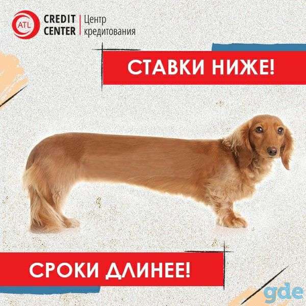 Вам срочно нужны деньги? Мы поможем их найти!, фотография 1
