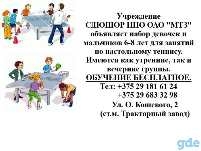 Спорт, фотография 1