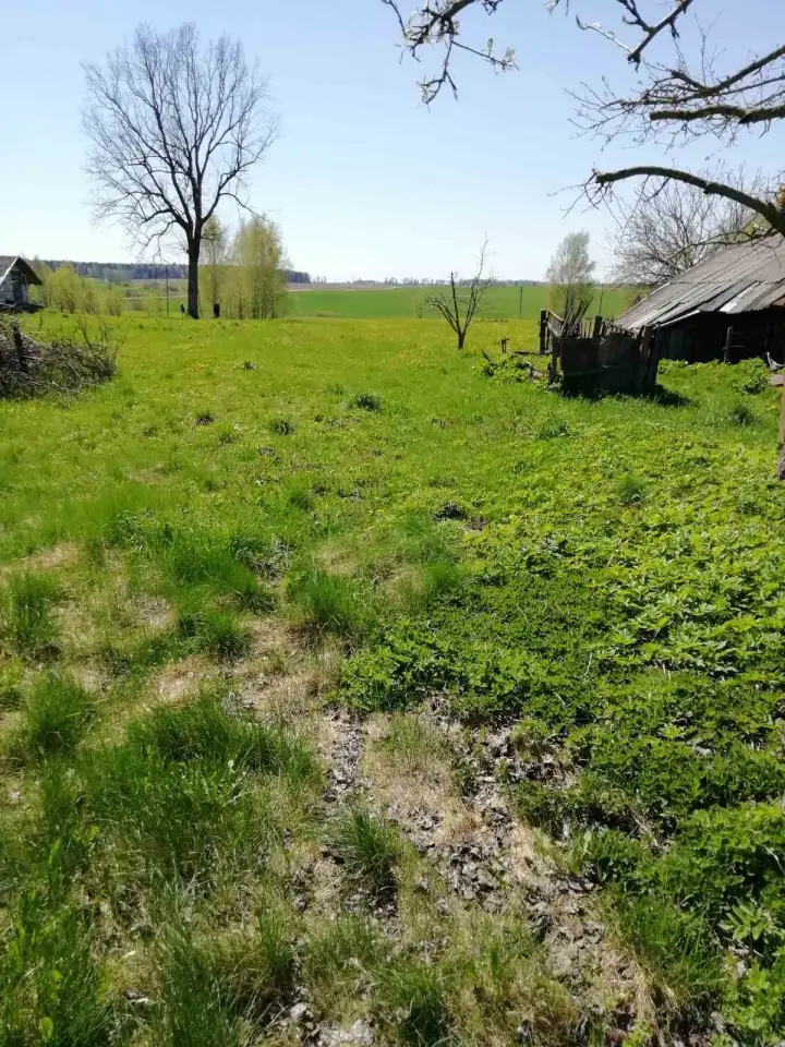 Продам дом с большим участком 25 соток, д. Валицковщина, фотография 4