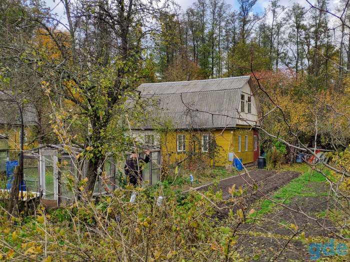 Продается дача в новобелицком р-не, 1,5 км от мкр Южный, дом, баня, плодовые деревья и кусты, ягоды, орехи, грибы, фотография 2