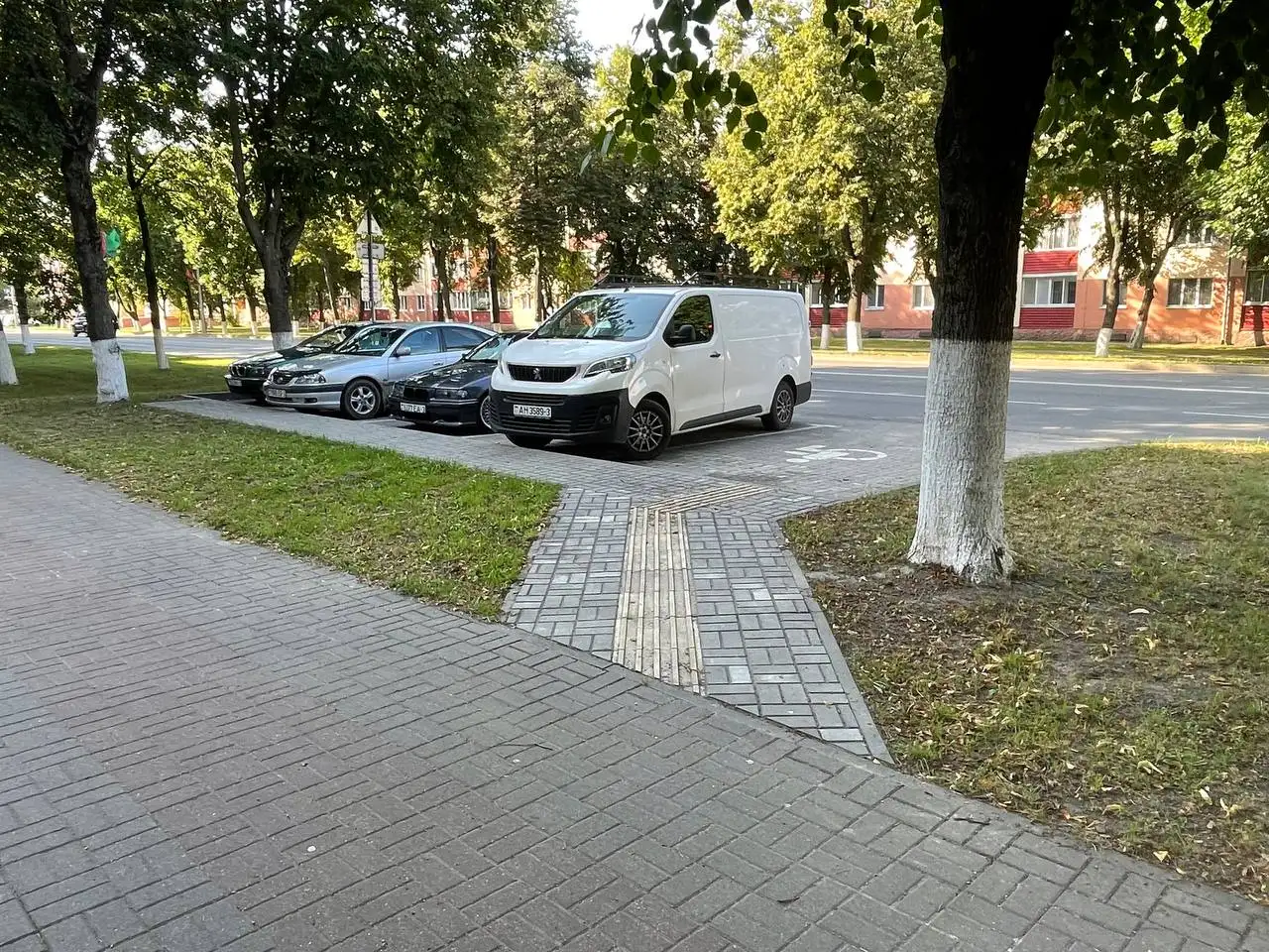 Аренда торгового помещения, 220а, фотография 11