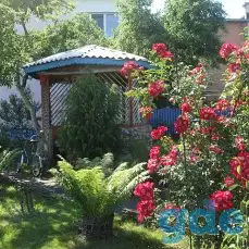 Продается 2-х этажная квартира, Беларусь, Гомельская область, Калинковичский Перетрутовский Воротын,ул, фотография 20