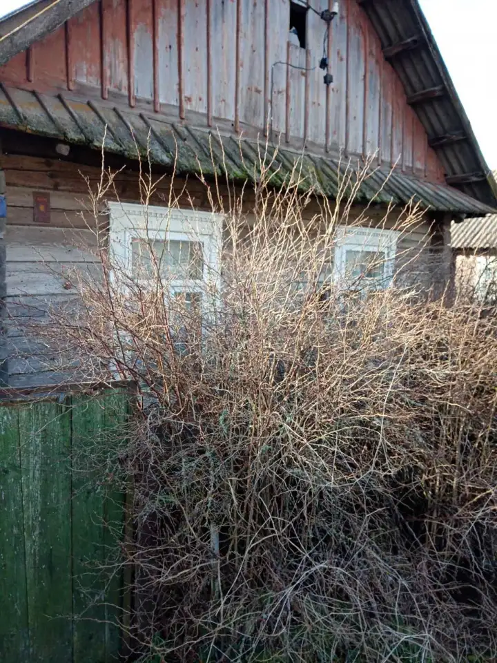 Продаю дом в деревне, Погорелка    сельсовет     Еремичи, фотография 5
