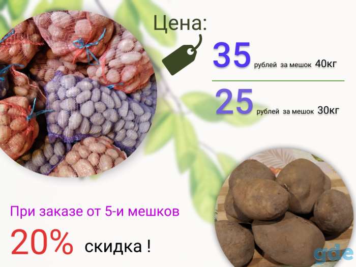 Отличный картофель к Вашему столу! Продам по выгодной цене, фотография 1