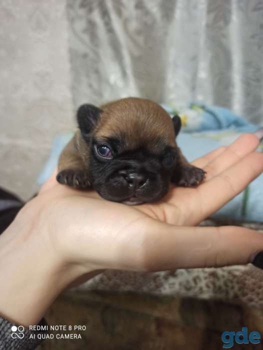 Продажа, фотография 8