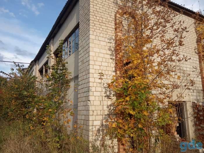 Продажа (аренда) недвижимого имущества, Вязынь, Вилейский район., фотография 2