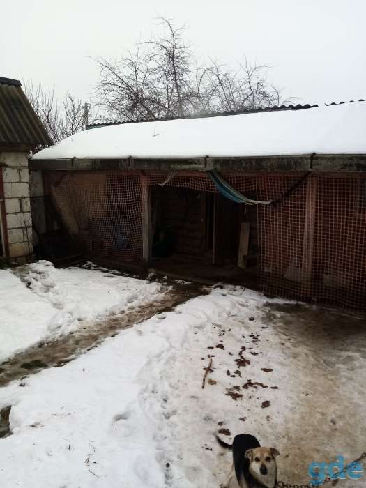 Дом, пер. Космонавтов 10, фотография 2