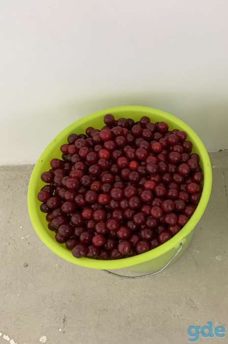 Продам вишню крупную, вкусную! 10 л - 15 р. Возможна доставка на дом, фотография 1