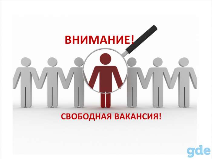 Персональный ассистент, фотография 1