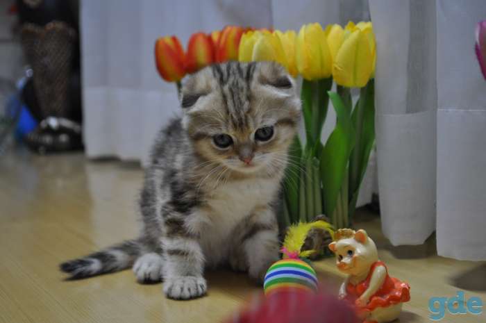 Пользователь, фотография 4