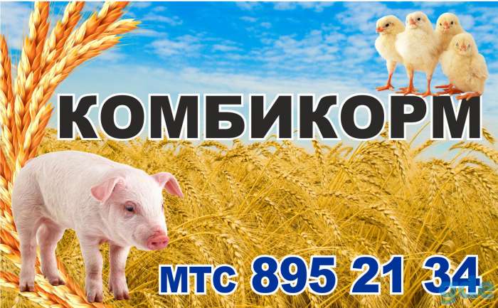 Комбикорма, Зерно, Пшеница, Ячмень, Отруби, фотография 1