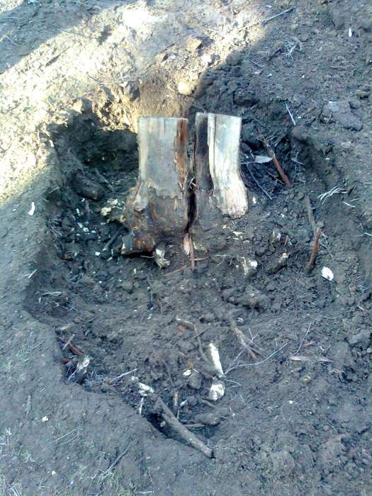 участок в порядок, фотография 3