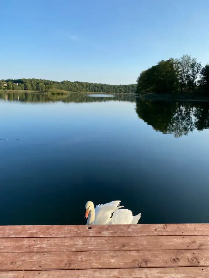 Сдам в аренду на сутки усадьбу Край Земли с баней на берегу озера, фотография 3