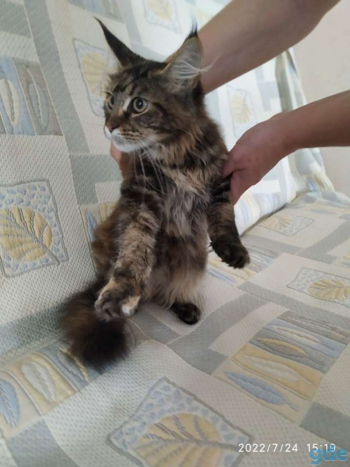 Мейкун, фотография 4