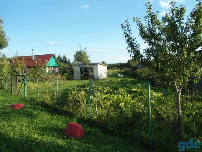 Продам/обменяю дом-усадьбу с большим участком и хоз. постройками рядом с заповедником!, фотография 12
