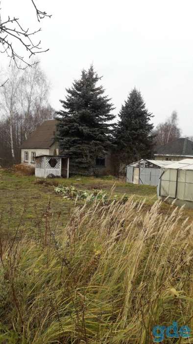 Продам дачу, Садовое товарищество д.Каменка, фотография 1