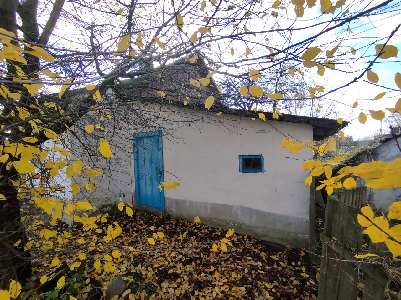 Продам дом аг Бородичи, Зельвенский район, фотография 12