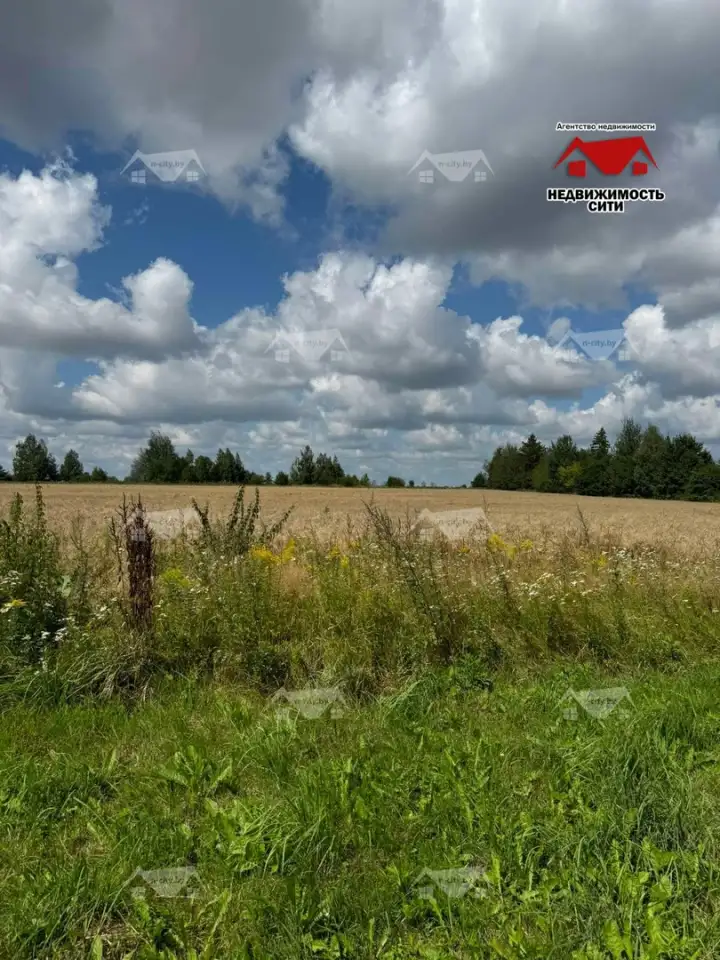 Жилой дом ул.Азаровка д.12 д.Булыжицы, фотография 6