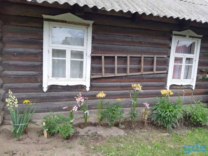 Продам дом в деревне, Старино червенского района смиловичского сельсовета, фотография 3