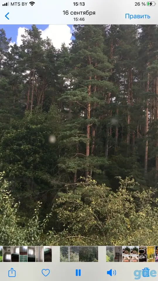 Продам дачу, Гродненская обл, горский р-н. д. Перелом с/и Юность, фотография 12