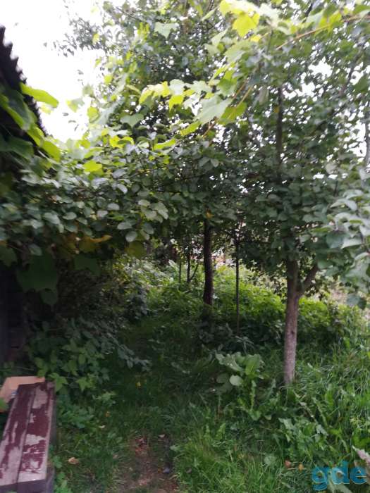 Дом в Бегомле, фотография 5
