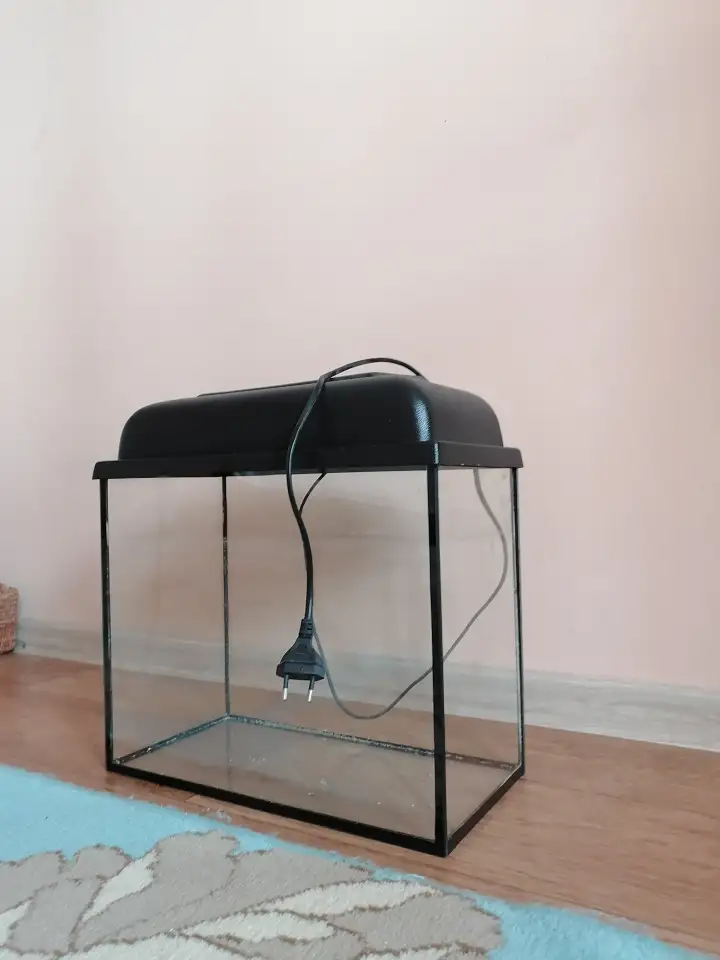 Аквариум, фотография 1