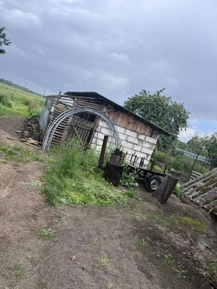 дом с участком 50 соток, Крошинский сельсовет, деревня Ольсевичи, фотография 6