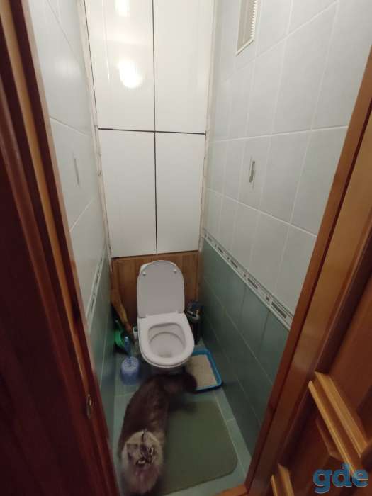Обмен, фотография 6