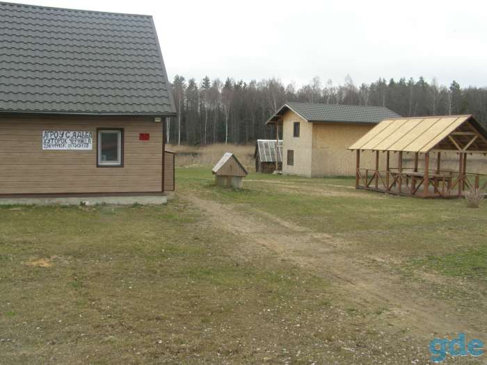Отдых на Браславских озерах, фотография 1