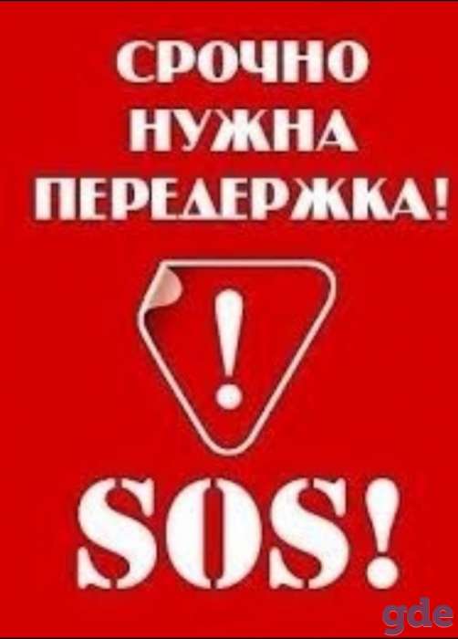 SOS.СРОЧНО. Ласковое Чудо. Щенок ОЧЕНЬ ИЩЕТ ДОМ., фотография 3