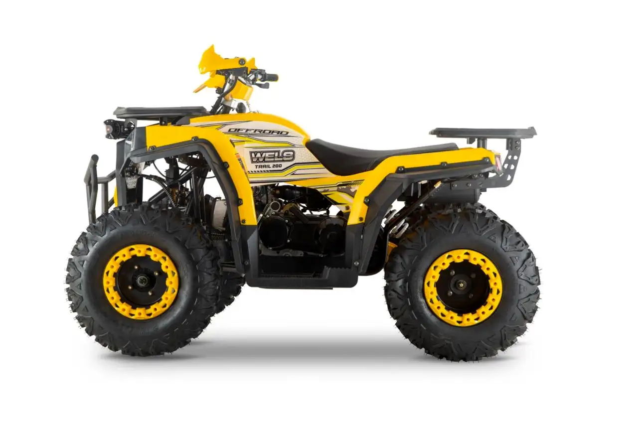 Квадроцикл wels thunder trail 200, фотография 4