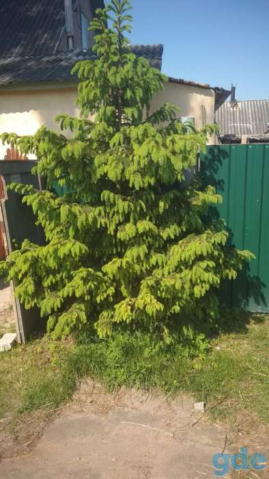 кирпичный дом, могилёвская, фотография 4