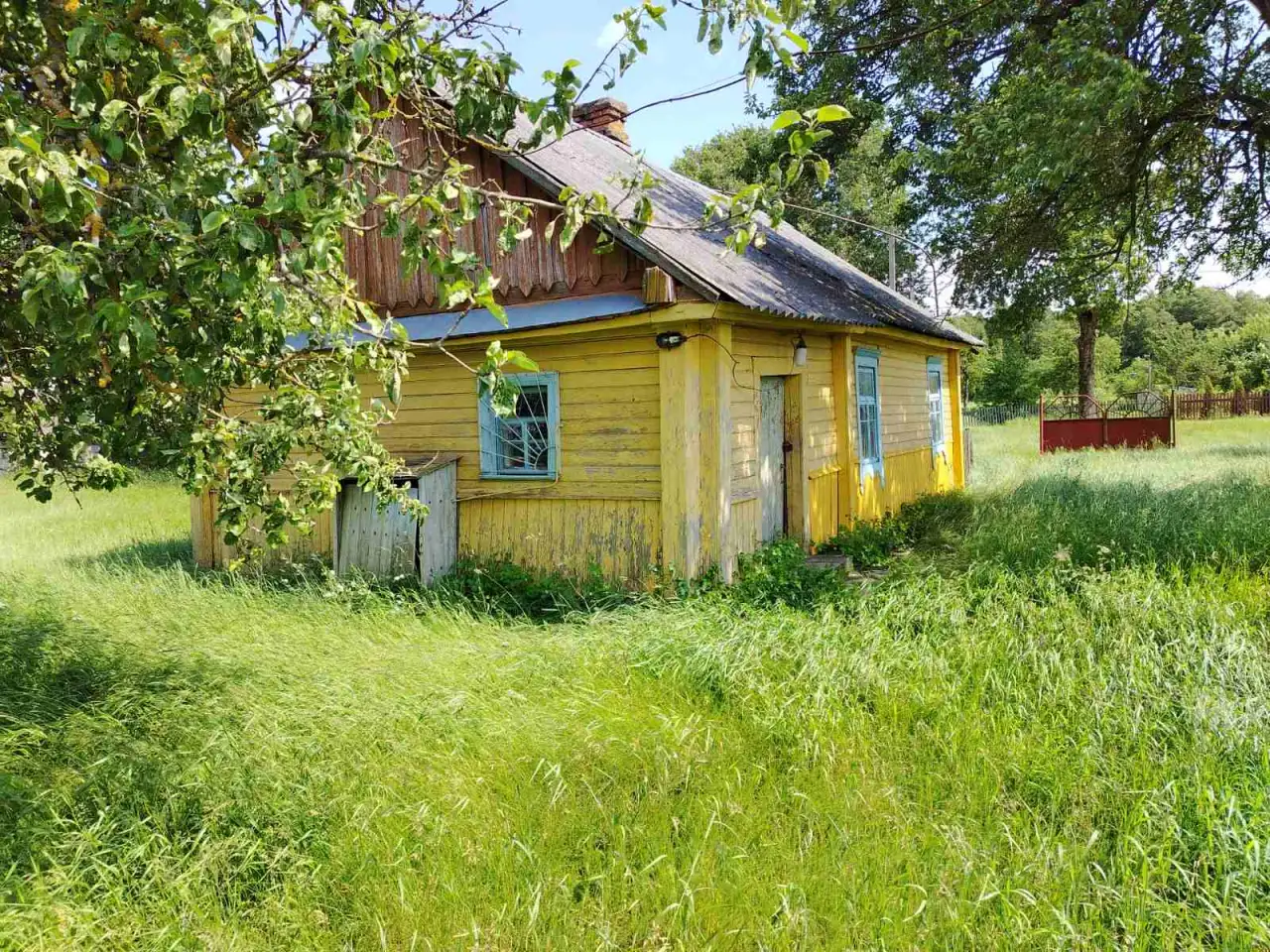 Продается уютный дом с садом у леса и реки в д. Омговичи, фотография 7