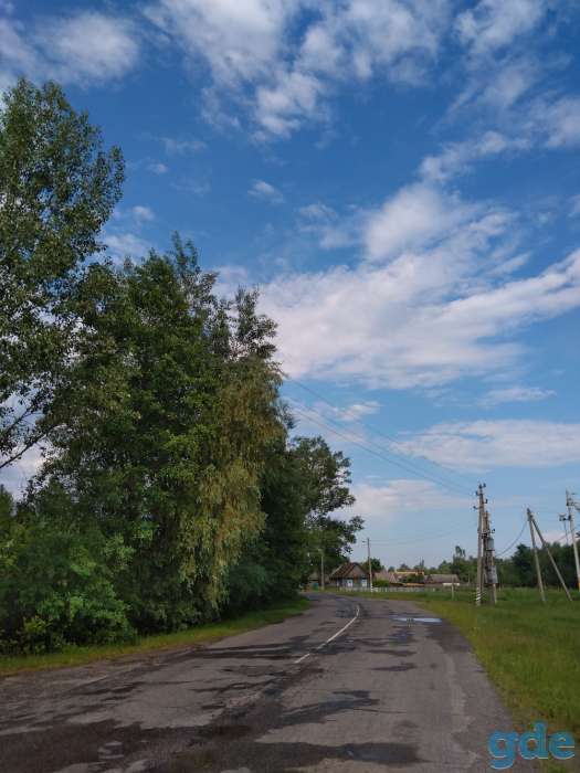 Дом на территории Национального Парка, Д. Хлупин, ул. Луговая, 12, фотография 3