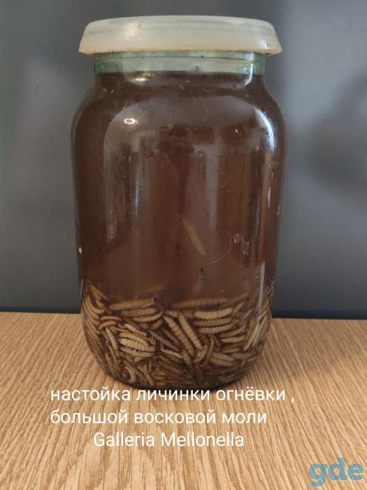 Огневка , ПЖВМ , пчелиное мумиё , мёд с экстрактом пчелиного мумиё., фотография 1