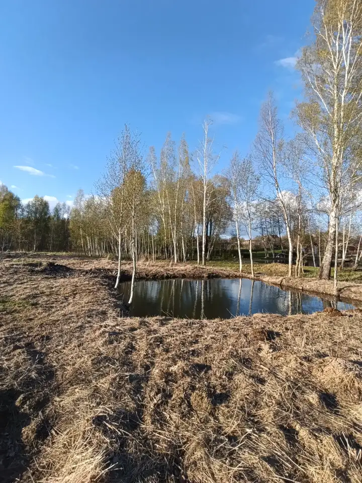 Продам участок земли на берегу озера, Поставский район, фотография 1