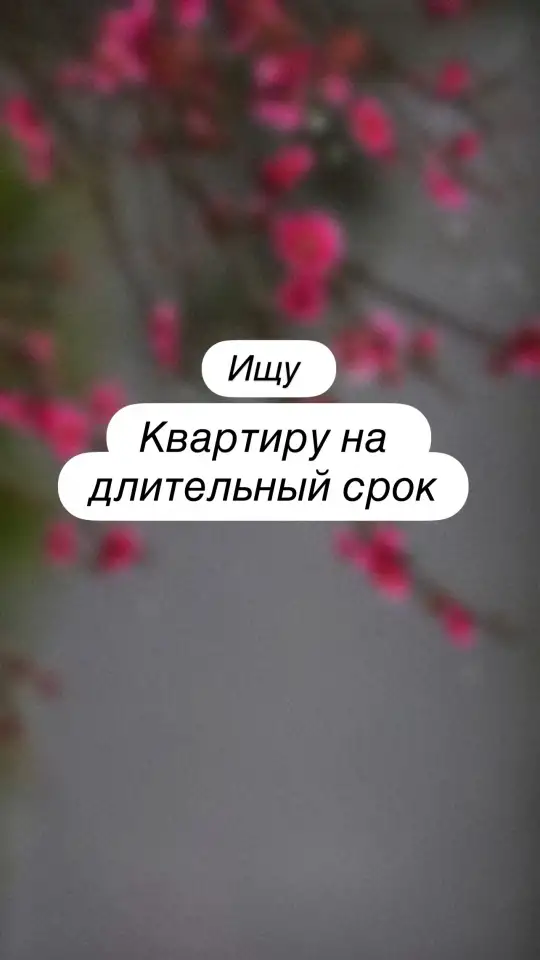 Сниму квартиру на длительный срок, фотография 1