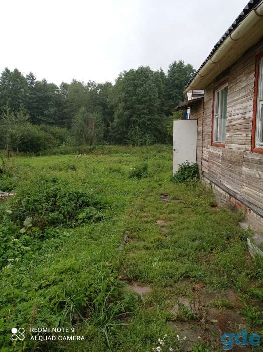 Продажа дачного участка, С/т район, пос. Гатовино, ул. Николаевская, участок 10, фотография 2