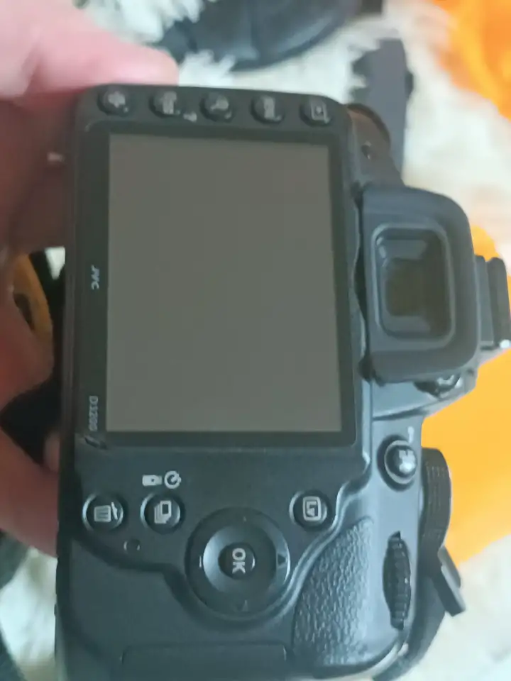 Зеркальный фотоаппарат Nikon D3200 Kit 18-55mm VR, фотография 9